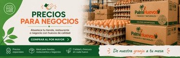 Precios para negocios